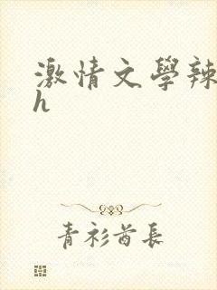 激情文学辣文高h