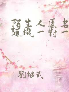 陌生人匿名聊天随机一对一