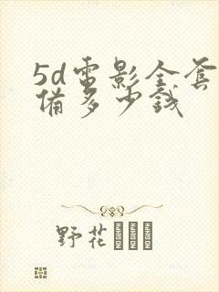 5d电影全套设备多少钱