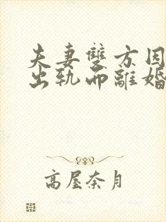 夫妻双方因一方出轨而离婚 财产如何分割