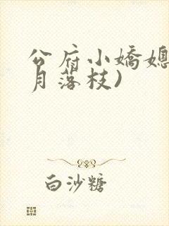 公府小娇媳(明月落枝)