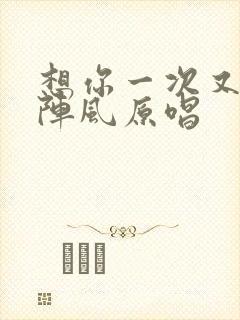 想你一次又起一阵风原唱