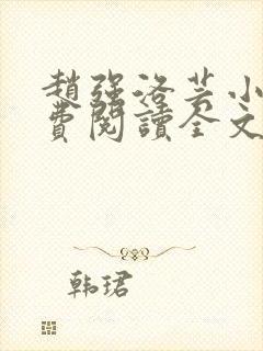 赵强洛芸小说免费阅读全文最新章节