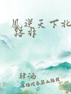凤逆天下北月篇 路非
