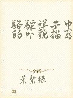 骆驼祥子中虎妞的外貌描写原文