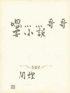 嗯……哥哥…不要小说