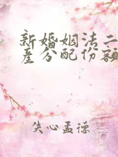 新婚姻法二婚遗产分配份额