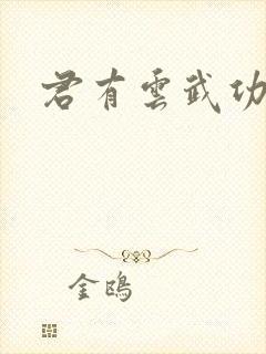 君有云武功排名