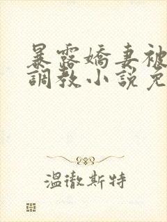 暴露娇妻被公开调教小说免费阅读