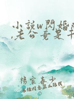 小说w闪婚成宠,老公竟是千亿大佬》