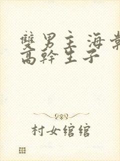 双男主 海棠 高干生子