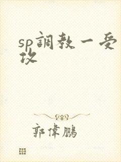 sp调教一受多攻