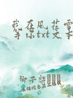 我在风花雪月里等你txt文本