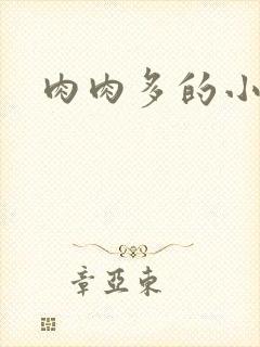 肉肉多的小说文
