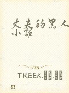 丈夫的黑人朋友小说