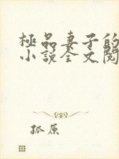 极品妻子的背叛小说全文阅读