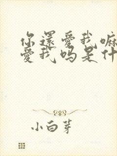 你还爱我嘛你还爱我吗是什么歌