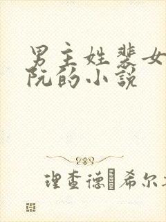 男主姓裴女主姓阮的小说