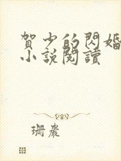 贺少的闪婚暖妻小说阅读