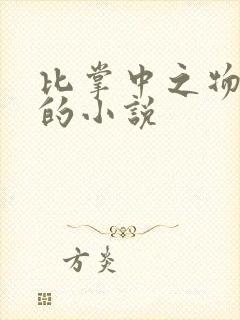 比掌中之物好看的小说