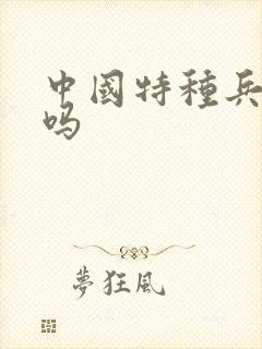 中国特种兵厉害吗