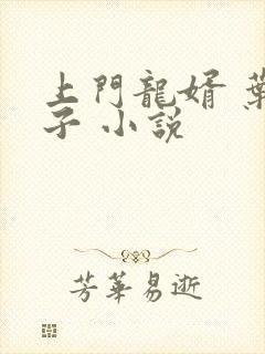 上门龙婿 叶公子 小说