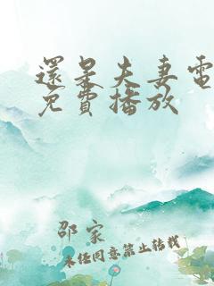 还是夫妻电视剧免费播放