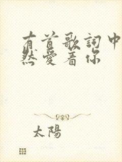 有首歌词中我依然爱着你