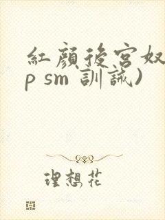 红颜后宫奴(np sm 训诫)