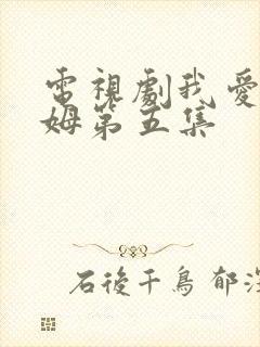 电视剧我爱男保姆第五集