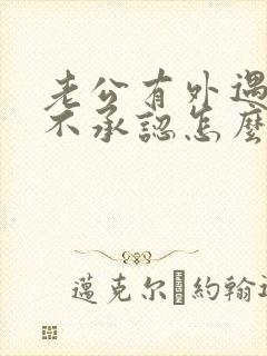 老公有外遇问他不承认怎么办