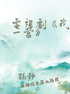 电视剧《我的特一营》