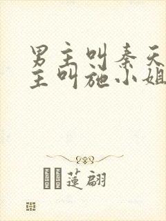 男主叫秦天辰女主叫施小姐的小说