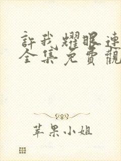 许我耀眼连续剧全集免费观看