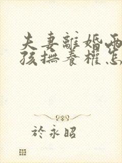 夫妻离婚两个小孩抚养权怎么判