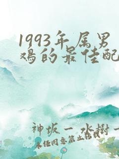 1993年属男鸡的最佳配偶属相