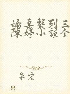 娇妻系列三部曲陈婷小说全文