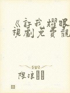 《许我耀眼》电视剧免费观看全集