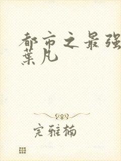 都市之最强狂兵叶凡