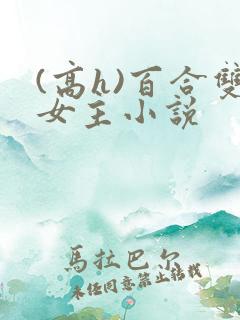 (高h)百合双女主小说