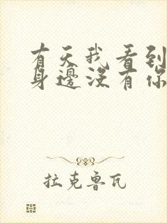 有天我看到我的身边没有你是什么歌