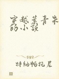 穿越叶青朱元璋的小说