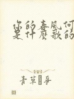 你的春风何时来是什么歌的歌词