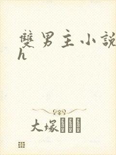 双男主小说推荐h