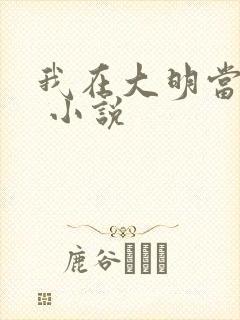 我在大明当暴君 小说