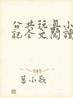 公共玩具小诗日记全文阅读