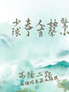 少夫人她惊艳全球了有声小说完整