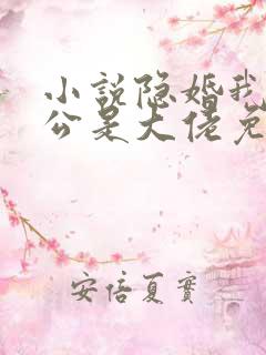 小说隐婚我的老公是大佬免费阅读