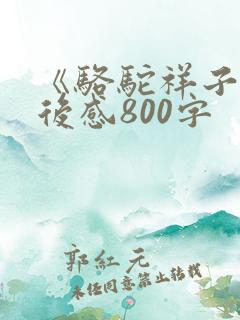 《骆驼祥子》读后感800字