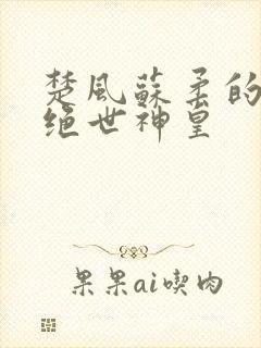 楚风苏柔的小说绝世神皇